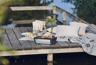 Enders Turistiniai griliai Nešiojamas Anglinis Grilis Enders Aurora, Silver