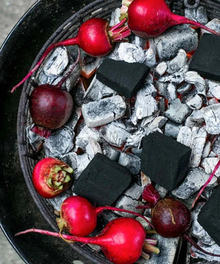 ProQ Rūkyklos Rūkykla ProQ Frontier Version 4, 40 cm