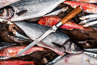 STYLE DE VIE Pjaustymas ir smulkinimas Japoniško plieno peilis STYLE DE VIE Olive Forged, Fish Fillet, 18 cm (filiavimui)