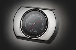 NAPOLEON Įmontuojami griliai Įmontuojamas dujinis grilis NAPOLEON 700 Series 44"