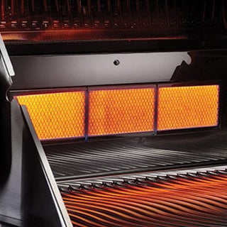 NAPOLEON Įmontuojami griliai Įmontuojamas dujinis grilis NAPOLEON LEX 605