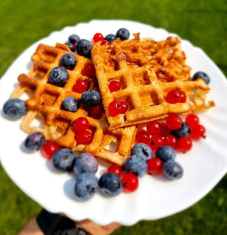 Petromax Indai iš ketaus Ketaus vaflių keptuvė PETROMAX, trumpa rankena,  3 x 19,4 x 49 cm