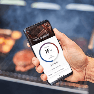 WEBER Elektriniai griliai Granulinis (pellet) grilis WEBER Smokefire EX4, 2 karta