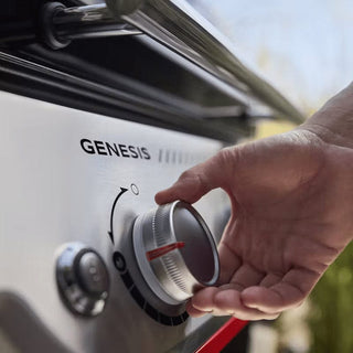 WEBER GENESIS E - 315W Gas Grill, 1501079 - WEBER - Evelostore