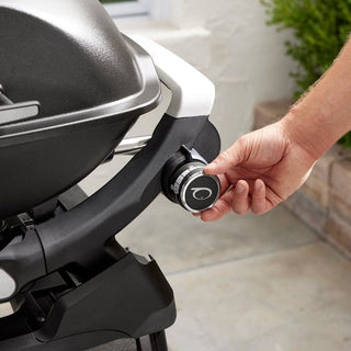 WEBER Q 2200N Gas Grill with Stand, 1501101 - WEBER - Evelostore