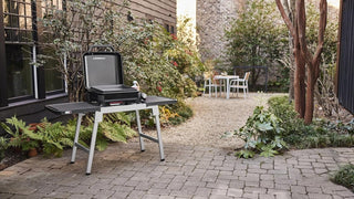 WEBER SLATE GP 43 cm Premium Griddle Gas Grill – 1501161 - WEBER - Evelostore