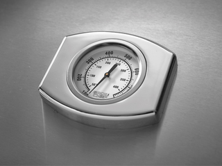 Pellet grill - smokehouse Traeger Woodridge Elite