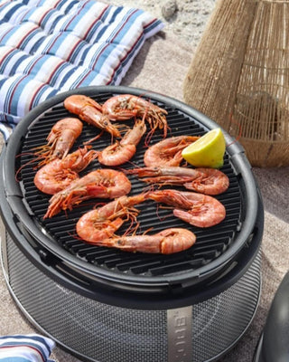 COBB Supreme Travel/Picnic Charcoal Grill