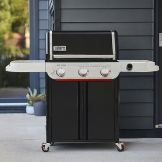 WEBER GENESIS EX-325W dujinis grilis