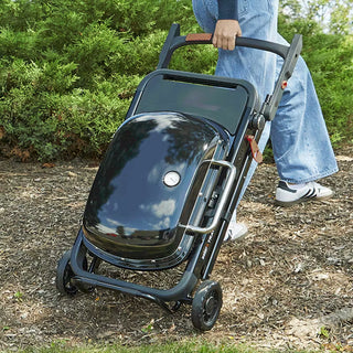 WEBER TRAVELER COMPACT Gas grill