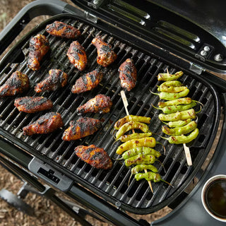 WEBER TRAVELER COMPACT Gas grill