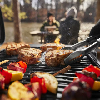 WEBER TRAVELER COMPACT Gas grill