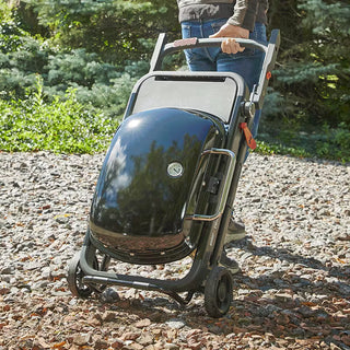 WEBER TRAVELER dujinis grilis