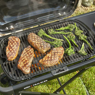 WEBER TRAVELER dujinis grilis
