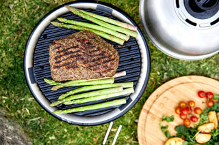 Travel/picnic grill COBB Premier PLUS with bag, carbon, Ø33 cm