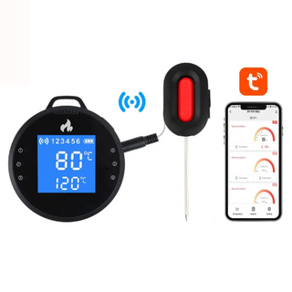 Feelspot FS01 Smart Wireless Food Thermometer with Wi-Fi, Tuya