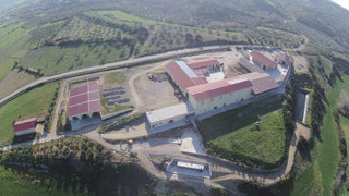 Kiti Prieskoniai ir malūnėliai Sardinijos jūros druskos dribsniai FIOR DI SALE su citrina, 100 g