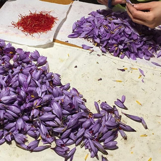 Kiti Prieskoniai ir malūnėliai Sardinijos jūros druskos dribsniai FIOR DI SALE su šafranu, 100 g