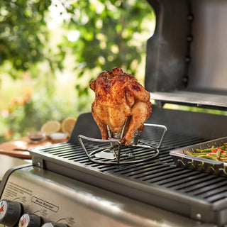 WEBER Dishes Chicken stand WEBER