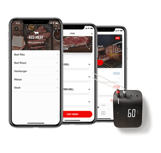 WEBER Termometrai Maisto termometras WEBER Connect Smart Grilling Hub, išmanusis, 2 zondai