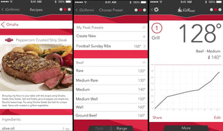 WEBER Thermometers Food thermometer WEBER iGrill Mini, controlled by phone