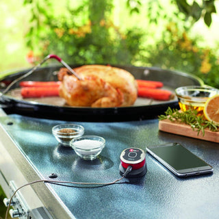 WEBER Thermometers Food thermometer WEBER iGrill Mini, controlled by phone