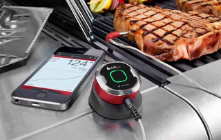 WEBER Thermometers Food thermometer WEBER iGrill Mini, controlled by phone